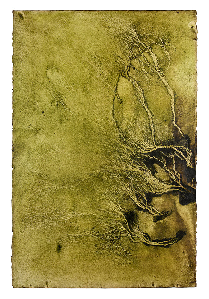 chontaduro papel 18.jpg